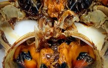 醉酱油蟹（生）