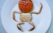 清蒸大闸蟹/大闸蟹摆盘