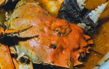 南瓜咖喱大闸蟹