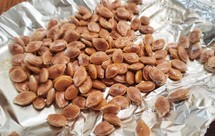 健康快手小零食：烤南瓜子的小确幸