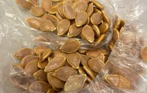 微波炉烤南瓜子