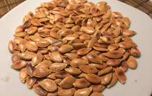 物尽其用·炒南瓜子