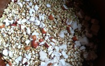 薏米红豆茯苓芡实养生粥