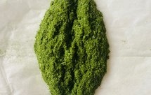 小麦草自磨大麦若叶青汁粉 人猫共享 破壁机食谱