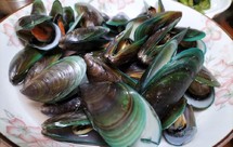 3岁孩子都能做的<清蒸青口螺>