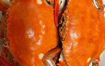 干蒸梭子蟹，梭子蟹最地道的做法