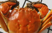 大闸蟹