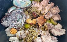 石斛橄榄鲍鱼汤