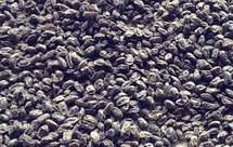 冰糖炒黑豆（好吃得停不下来）