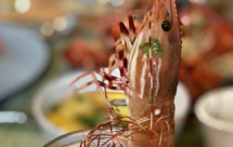 Gin酒呛斑点虾（杜松子酒）