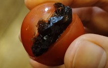 小朋友爱吃的圣女果夹乌梅