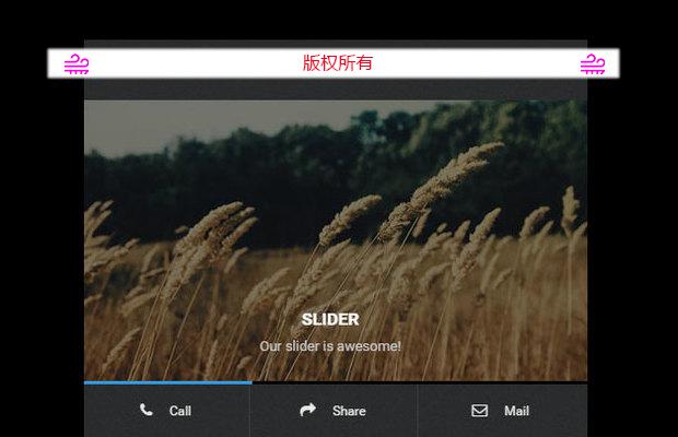国外漂亮的手机网站