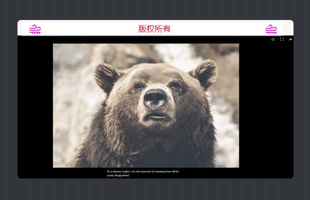 纯js图片画廊插件