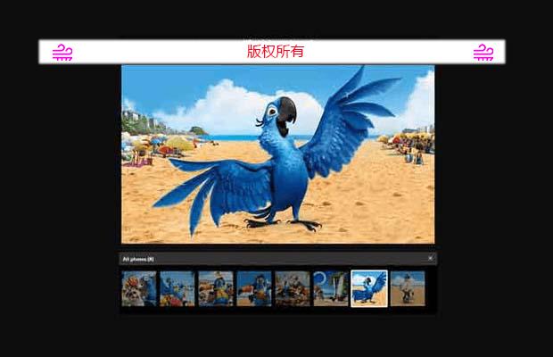 jquery灯箱画廊插件lightgallery